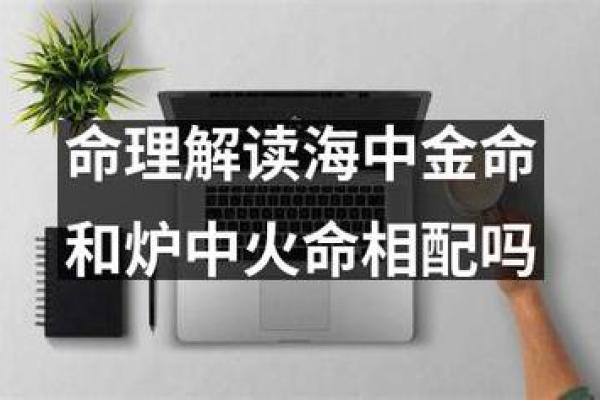 儿子火命与父亲金命的命理解读与人生智慧