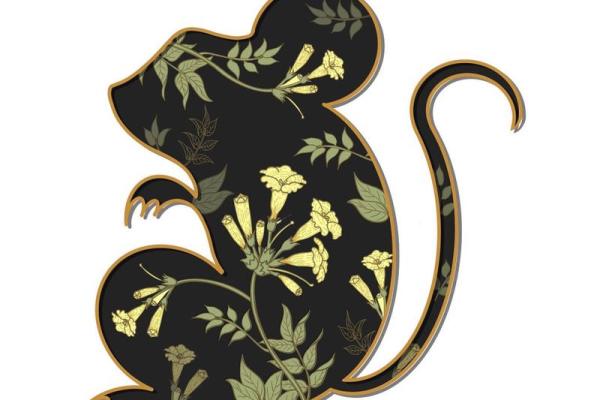 1993年生肖解析：水鸡的命运与性格剖析