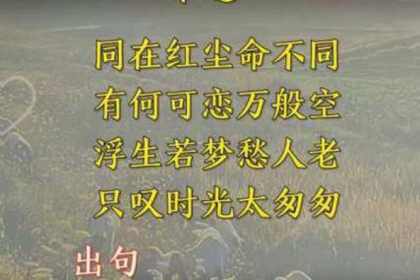 探寻19881225的命运密码，解读你我的人生轨迹