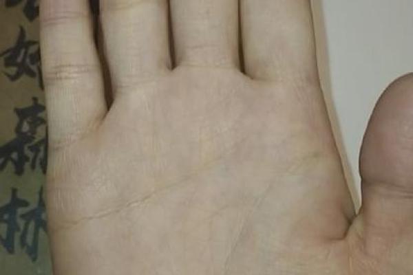 一九九一羊的人生运势解读：性格、命运与事业发展之路