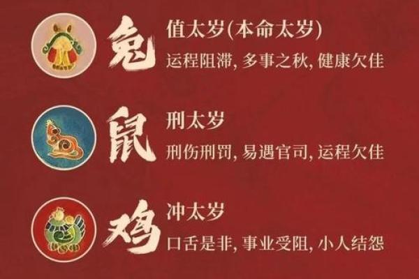1996年出生的猪，命运与性格的深度解析