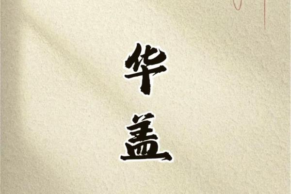 探秘命理中的木木命：如何理解与应用其特征