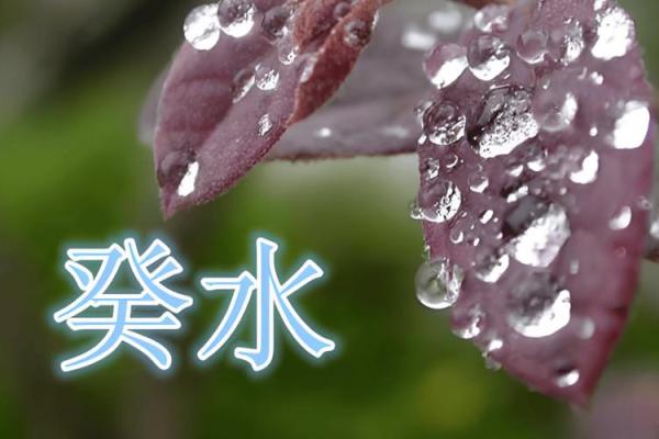 探索葵水命：哪些命理特征的人更有利于葵水命的成长与发展？