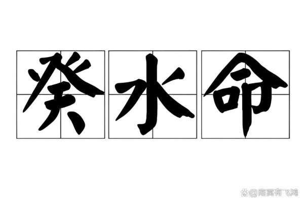 探索葵水命：哪些命理特征的人更有利于葵水命的成长与发展？
