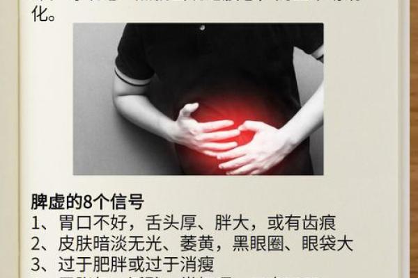 养生理念：以命养命，修心养性之道