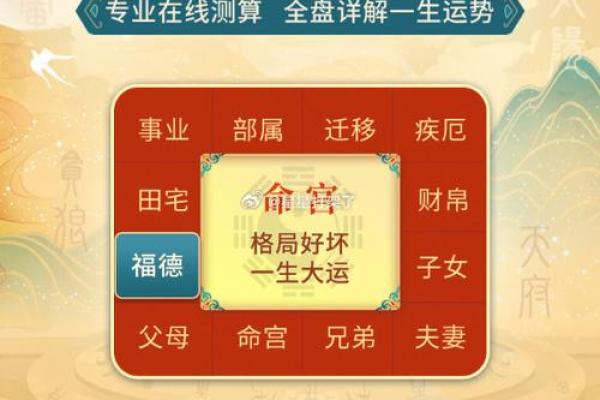 1994年12月16日出生的人生运势与命运探讨