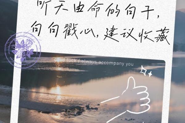 命由我，命由天：探讨人生选择与命运的辩证关系