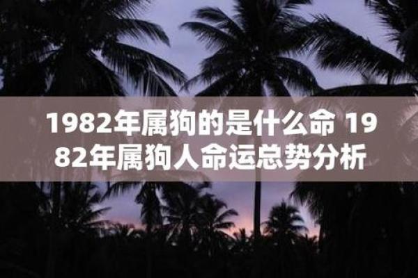 1995年属狗人的命运解析——揭开生肖狗的神秘面纱