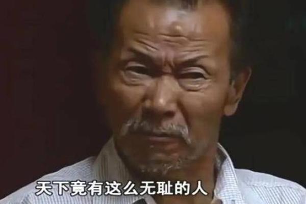 1986年出生的人：命理与人生之旅的独特篇章