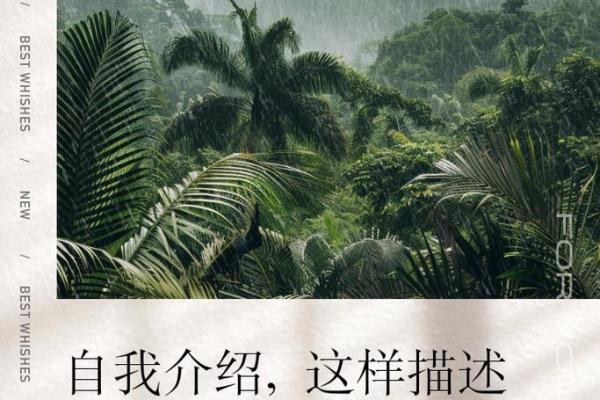 1973年属什么：揭开生肖的神秘面纱，探索人生旅程的奥秘