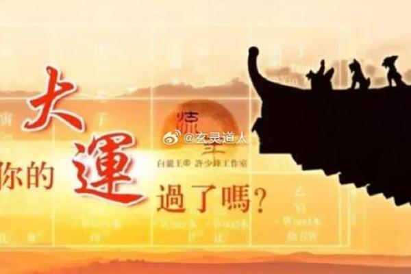 94年生人命运解析：探寻属于你的独特人生轨迹