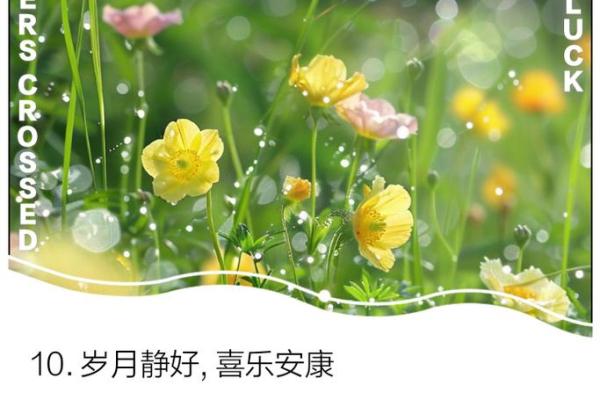 根据命理选择楼层，助您好运连连！