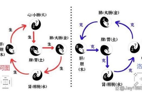 1991年出生的人命运解析：揭秘五行与生肖的奥秘