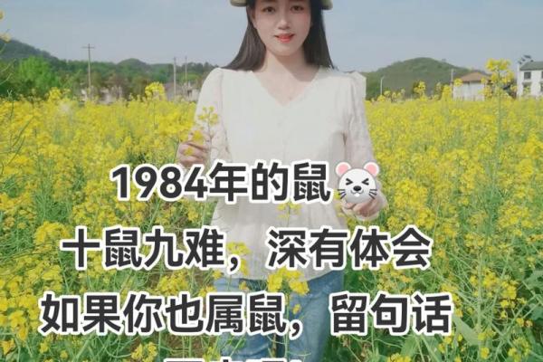 1984鼠年出生的人，命运与性格的深度解析