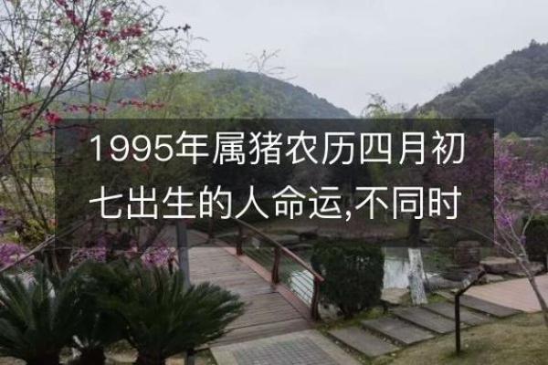 1995年属猪的命运解析：生活中的机遇与挑战