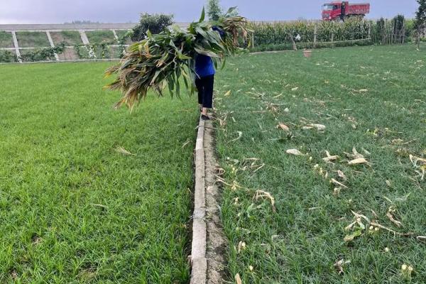 19710202出生的人生轨迹与命运解析