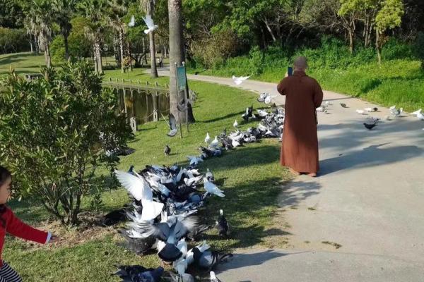 20001221出生的人生命运解析：揭开命盘的神秘面纱