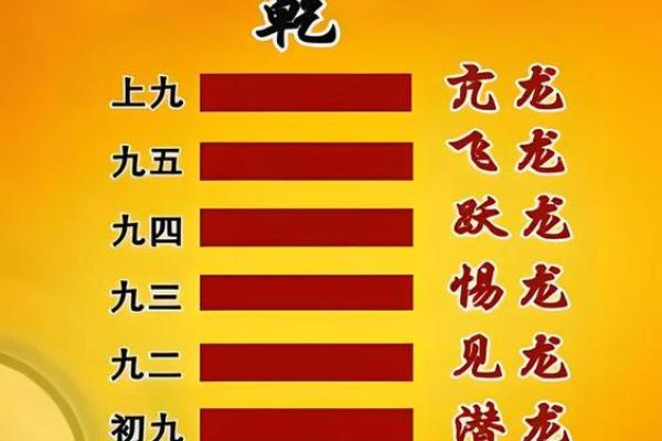 初学命理学的最佳入门途径：探寻人生的奥秘与智慧