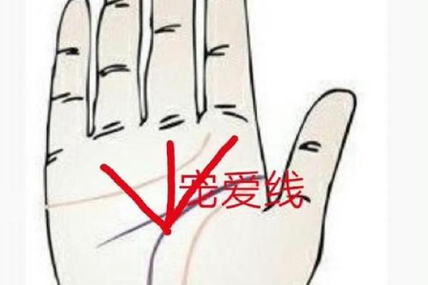 午时龙年出生的命运解读：你是注定的领袖吗？