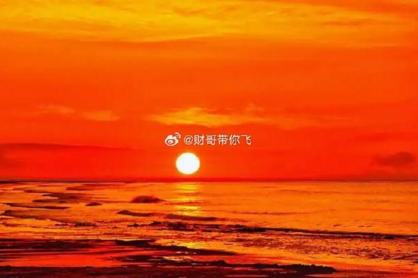 大林木命与楼层选择：如何为你的居住环境找到最佳高度