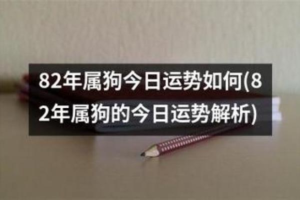 1982年属狗，五行属水的命理解析与运势解析