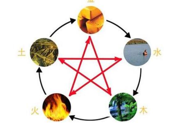 木命人与相合五行，携手共创美好未来