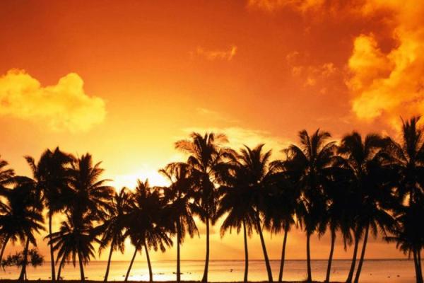 大林木命与金木命的完美搭配：命理间的和谐共生