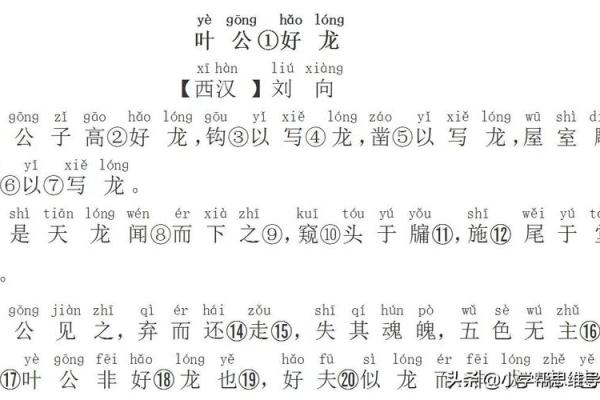 探寻成语背后的故事：从“叶公好龙”说起