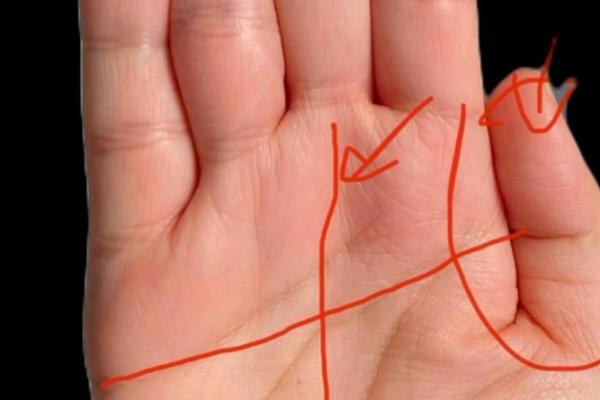 命硬之人如何选择合适的伴侣？一探命理与婚姻的奥秘