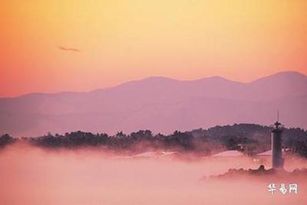 松伯木命的命理缺失探讨与补救策略