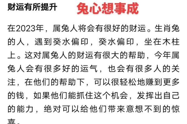 2023年的兔年：命运与运势的深度剖析