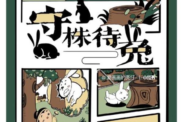 命中注定：探索成语背后的故事与智慧