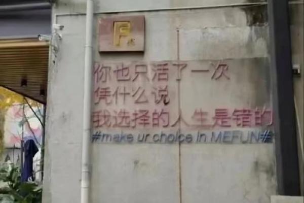 命运的选择：在变幻莫测的生活中寻找自我