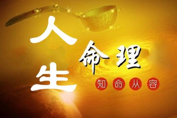 2006年出生的孩子命理解析：揭示命运的秘密与未来的走向