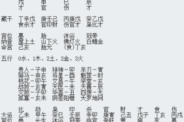 命理解析：男命与女命的深刻差异与影响