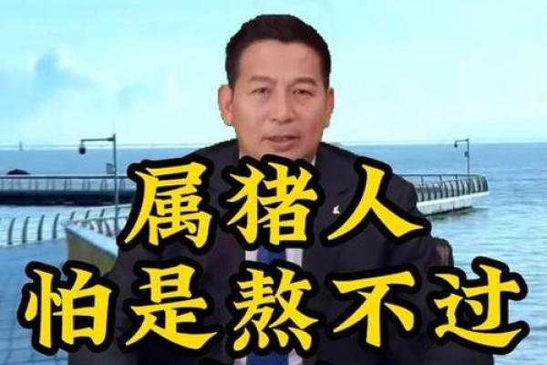 71年猪命理分析：探秘属猪人命犯的各种情况及其化解之道