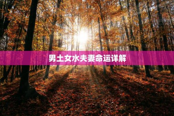 土命男孩和什么命女孩最合拍？探秘五行爱情的奥秘！