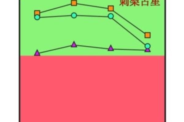 2021牛年宝宝命运解析：如何把握机会，实现人生辉煌