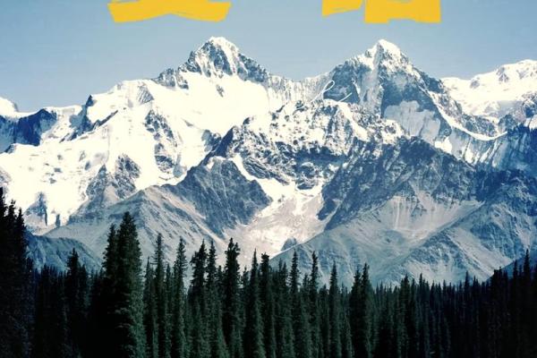 探秘1992年出生的生肖与命运：属于猴年的神秘旅程