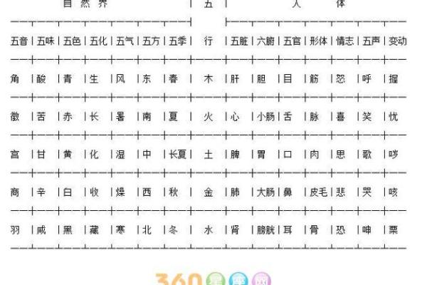 49虚岁的人命运解析：如何解读你的生肖与五行属性