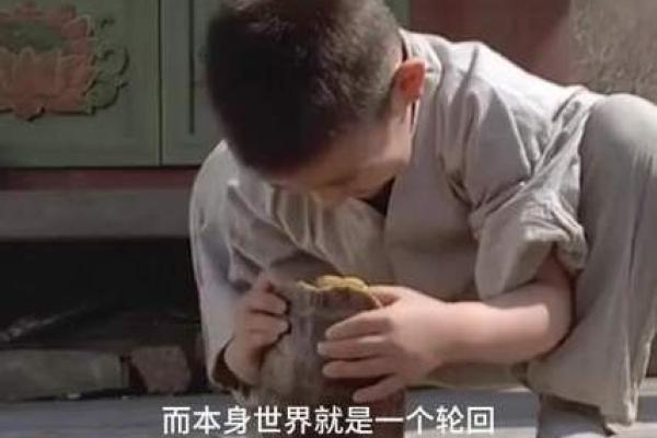 探索和尚之命：精神的沉淀与人生的解读