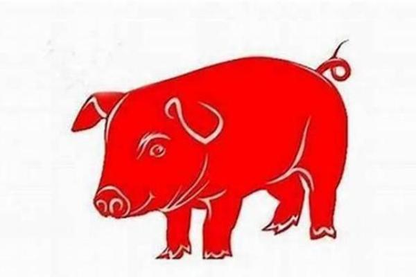 属猪的人命理解析：早知命运，助你扬帆起航！