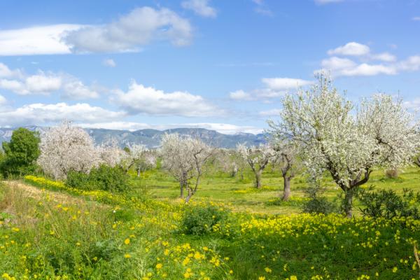 钗钐金命与五种命理的最佳匹配，让你找到人生的另一半！