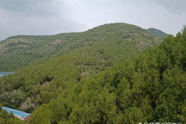 21994年：探索神秘命理与人生转折的秘密之钥