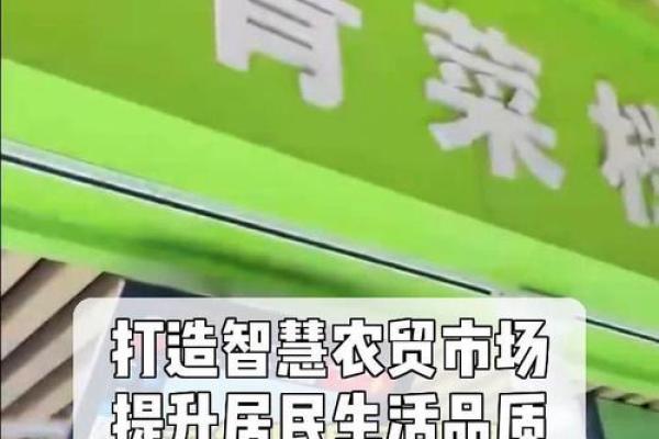 如何根据命理选择适合自己的茶叶，提升生活品质