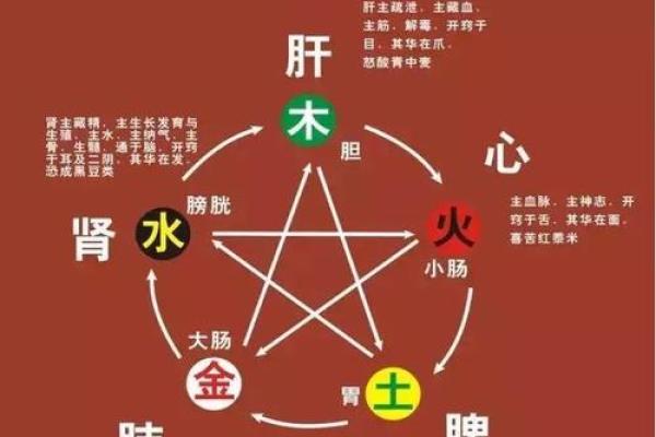 探秘命理学:解析五行与八字对人生的深刻影响 探秘命理学:解析五行与八字对人生的深刻影响