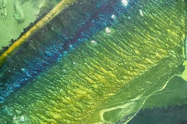 探寻19990808的命理密码,揭示人生奥秘与奇迹之路 探寻19990808的命理密码,揭示人生奥秘与奇迹之路