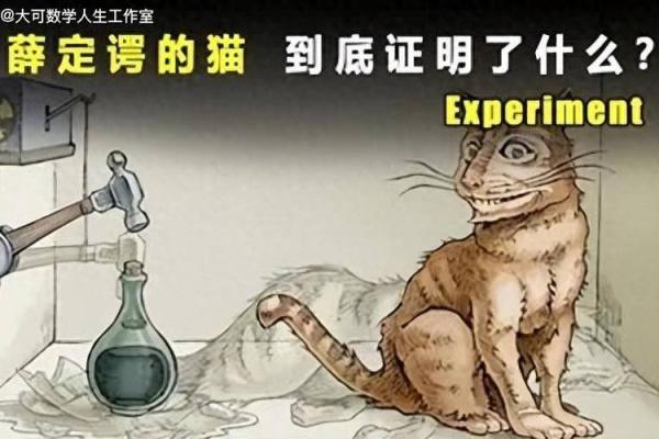 狗属土命,猫的命理解析:揭示猫的命运与个性之谜 狗属土命,猫的命理解析:揭示猫的命运与个性之谜