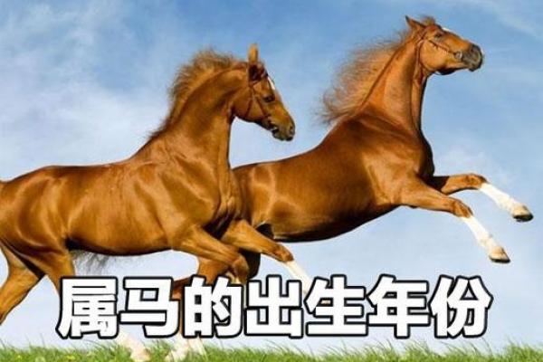 生肖马：硬命与软命的运势解析及生活志向