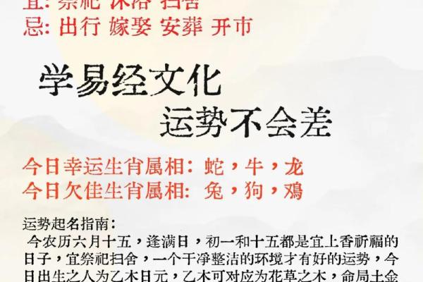木命人的最佳命运:如何提升运势与生活质量 木命人的最佳命运:如何提升运势与生活质量